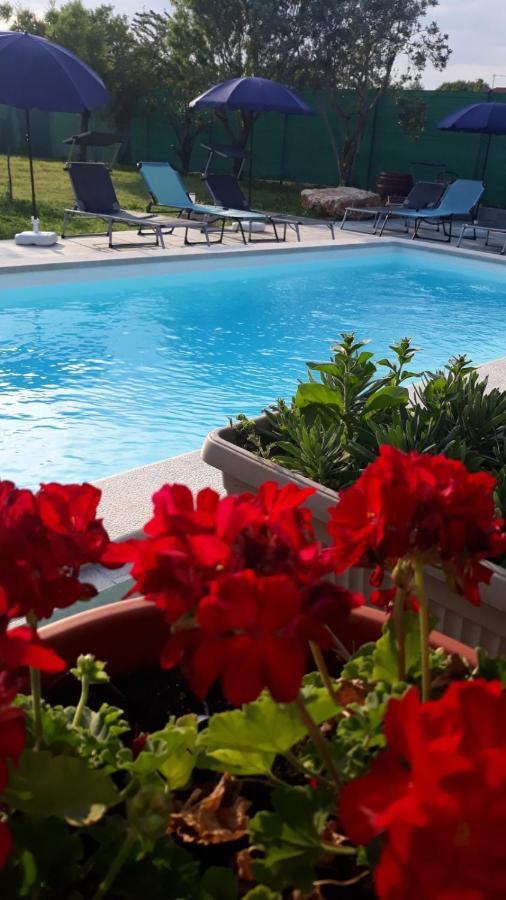 Holiday Home Dioniza Воднян Екстериор снимка